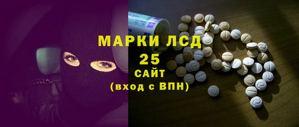 прущие грибы Михайловск