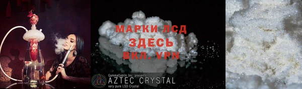 прущие грибы Михайловск