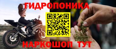 скорость Гусь-Хрустальный