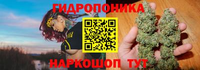 наркотики Гусев