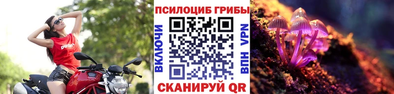 Галлюциногенные грибы мицелий  дарнет шоп  Светлоград 