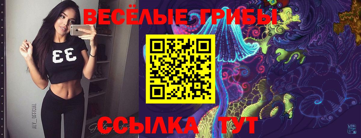 Бутират Светлоград