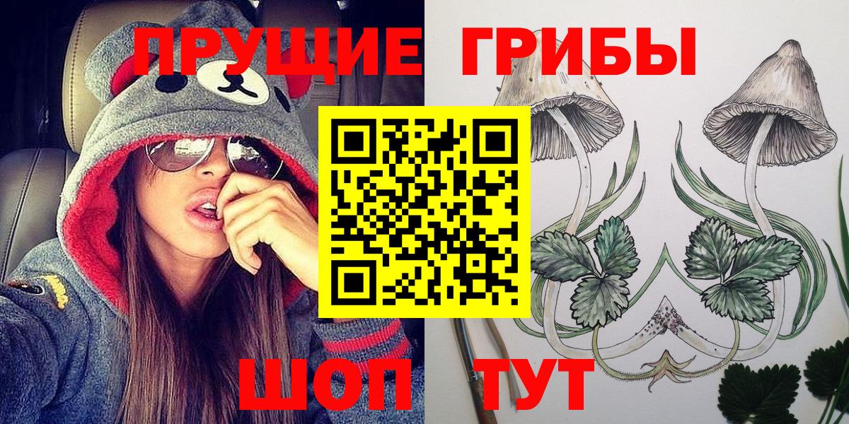 Галлюциногенные грибы Magic Shrooms Светлоград