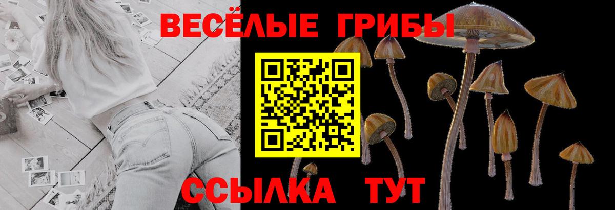 цены   Вход с VPN  Светлоград  Галлюциногенные грибы прущие грибы 